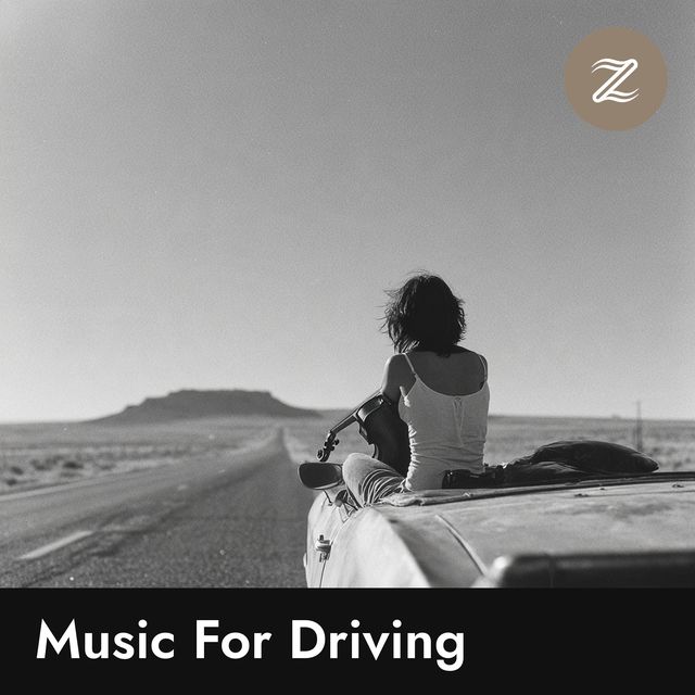 Music For Driving playlist cover